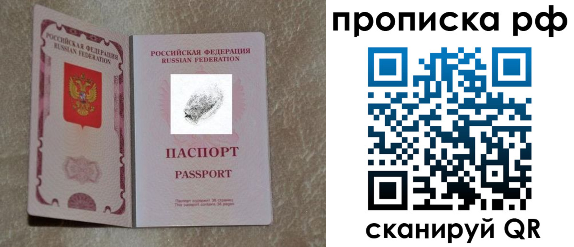 прописка поиск в Опочке